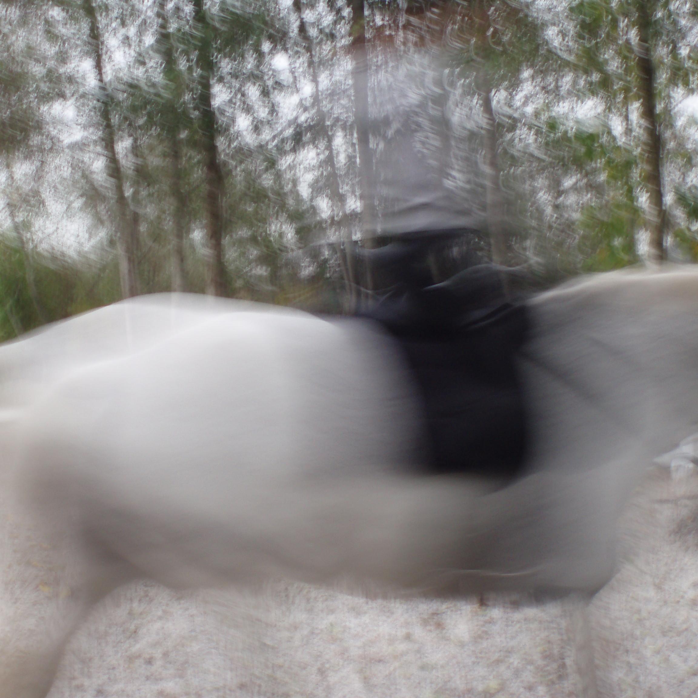 GreetjeM's profile picture. Bewegend, onderzoekend, verbindend, intuitief. Op zoek naar helder werk