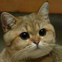 Frank Garrett - @FrankGarret2 - Twitter