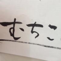 むちこ (@muchyyy610) 's Twitter Profile