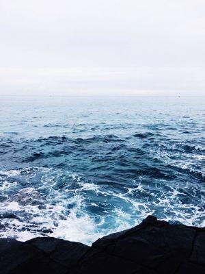 aldana_009's profile picture. 