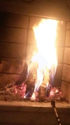 sedaozelgurkan's profile picture. 