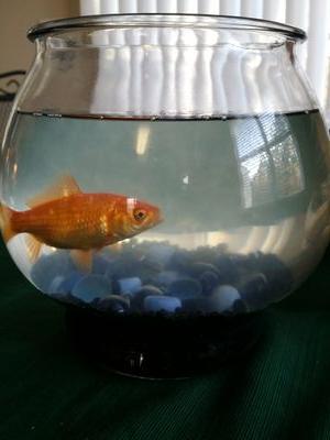 Stuart is the rector of Grace Episcopal Church in Gainesville, GA.  He writes the blog Mindful Church, exploring contemplative practice of parish ministry.