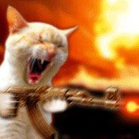 26 year old male from the Netherlands, who streams at https://t.co/HCR8rKhAG7