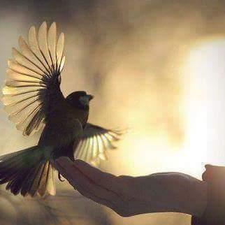 sometimes it's better to let the silence do the talking!