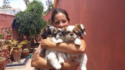 Psicóloga en paro, soltera, busca ...