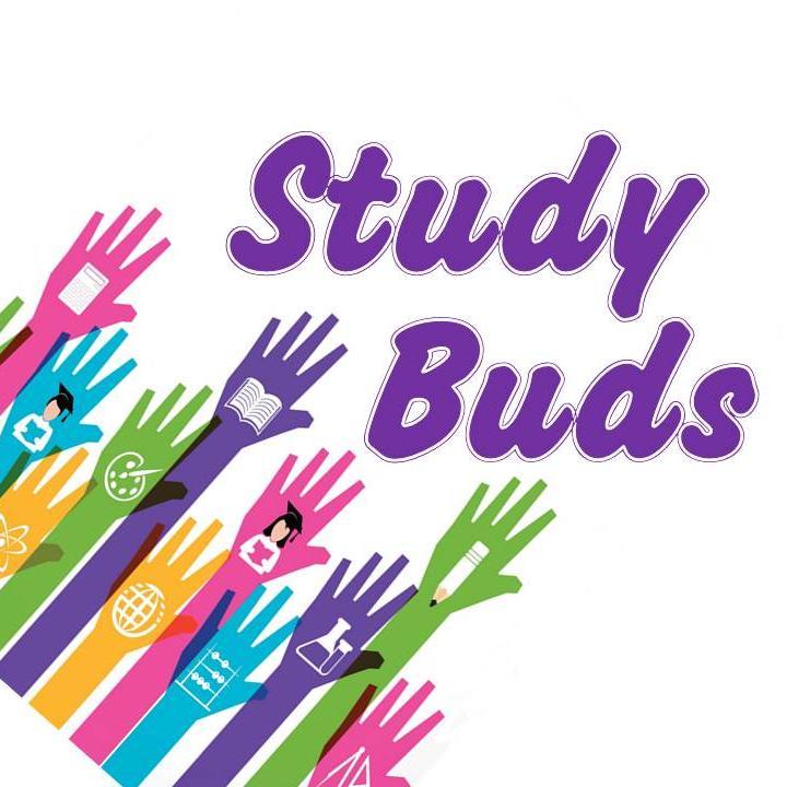 Primary level group tuition, homework clubs and holiday workshops in Wrexham. Call 07519339946 or email abi@studybuds.co.uk for more information.