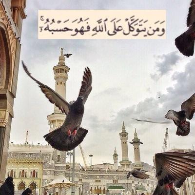 ياآرب إن كنت مقصر فيمإ مضضى ف إحسسن لي فيمإ بققى ❤️~