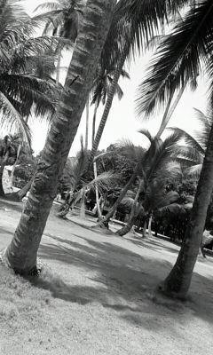 labelle_smith's profile picture. 