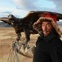 ERDAL KURTOĞLU (@3386f4ccc4544b7) 's Twitter Profile
