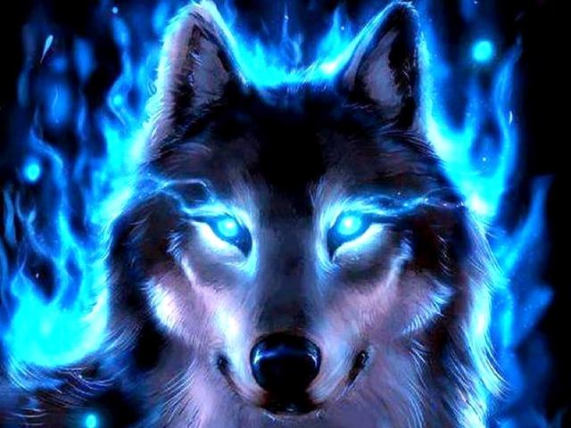 matheusjesus961's profile picture. 