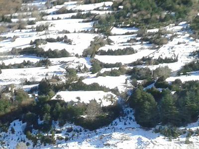 chicaanonima_9's profile picture. 