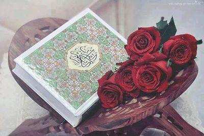 OrtizAnwar's profile picture. 