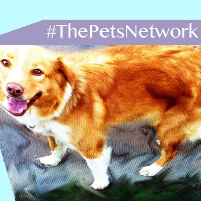 Building a network of people to help animals in need find homes! #animallovers #ThePetsNetwork