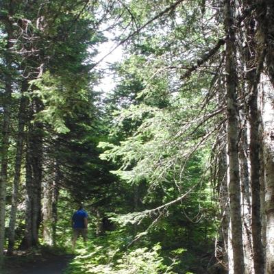 moynihanse's profile picture. “When you learn teach, when you get give.”

Maya Angelou