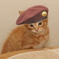 Redd (@reddpuss) 's Twitter Profile