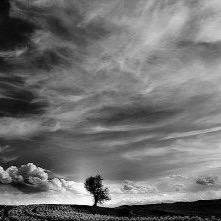 FrstNull's profile picture. 