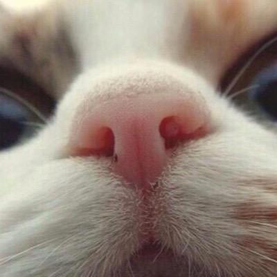 gravity_oh Profile Picture