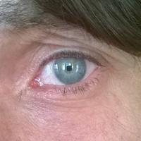 Nebil Sayın (@nebilsayin) 's Twitter Profile