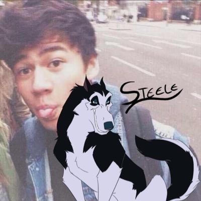 Steele James is the name and this top dog is back and with this thing people call skin lookin' for that dog Balto and my old team [19-Shapeshifter]