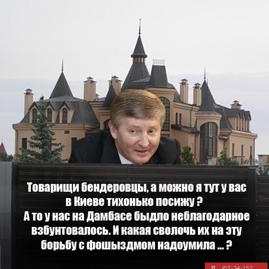 srek8's profile picture. 