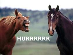 fizzyfun6's profile picture. 