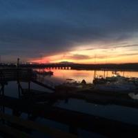 Marina At The Wharf (@atwharf) 's Twitter Profile Photo