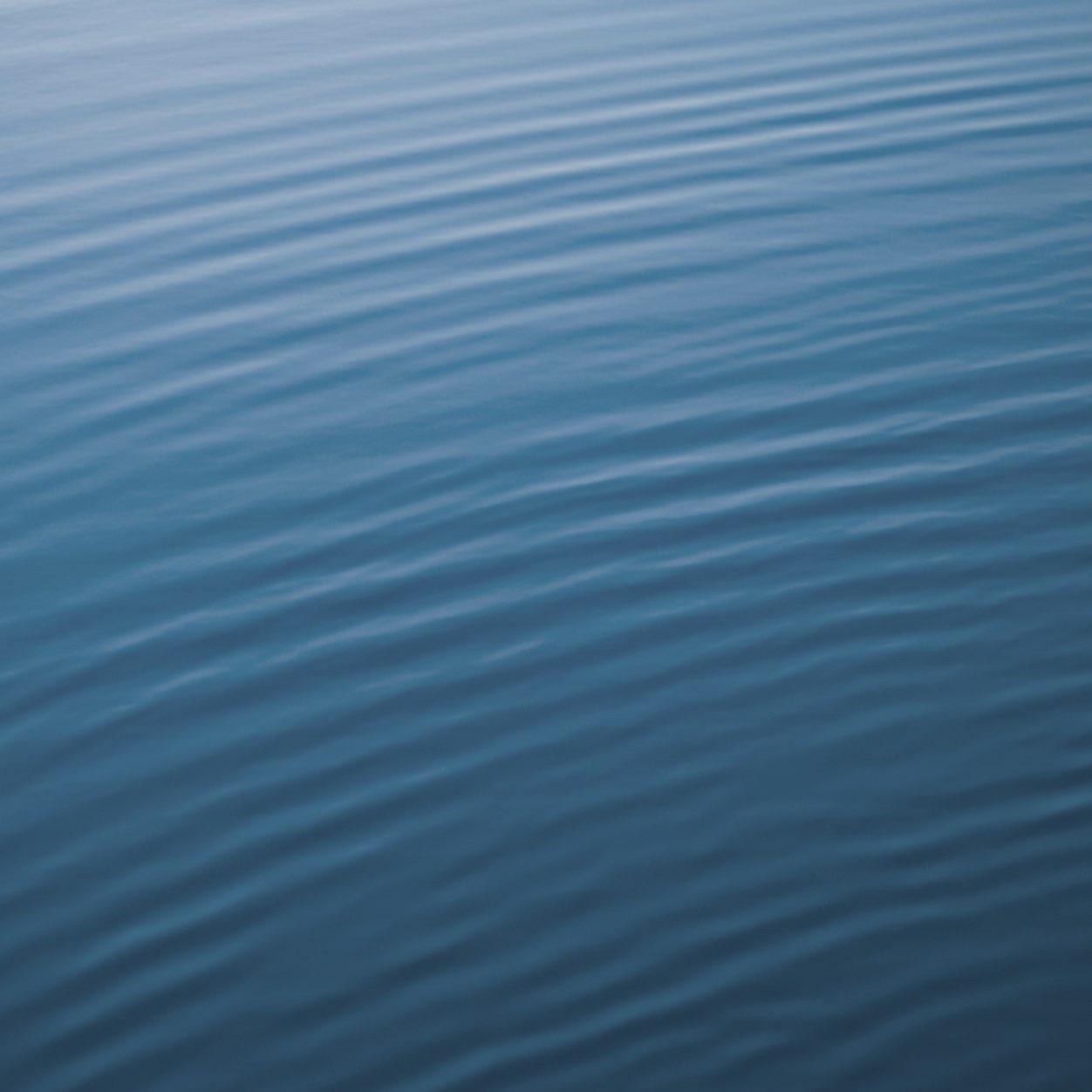 livenm_7's profile picture. King Gnu！！