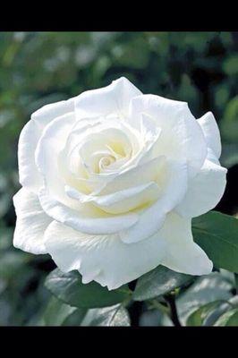 GgghhGvcfgg's profile picture. 