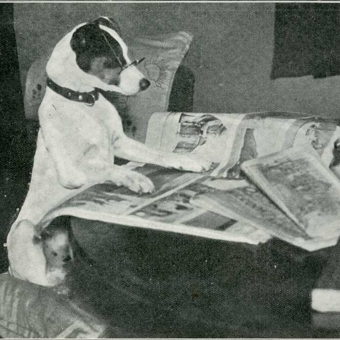 jeremyolds's profile picture. Journalist from NZ, editor @mastermind_fr. Bad at French