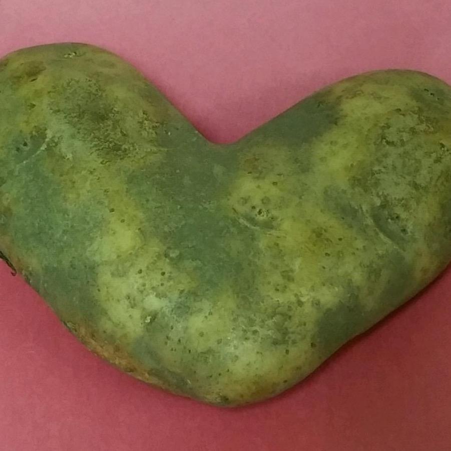 AndrewPeck1978's profile picture. Loving Husband, Proud Papa, Nerd, Geek, and Superman Collector! Driver and PR Guy for Lex’s Lucky Rocks & A. Button Girl.