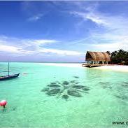 한명자 (@mjmjmjgood) 's Twitter Profile