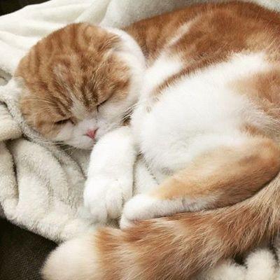 IstantiMaria's profile picture. 