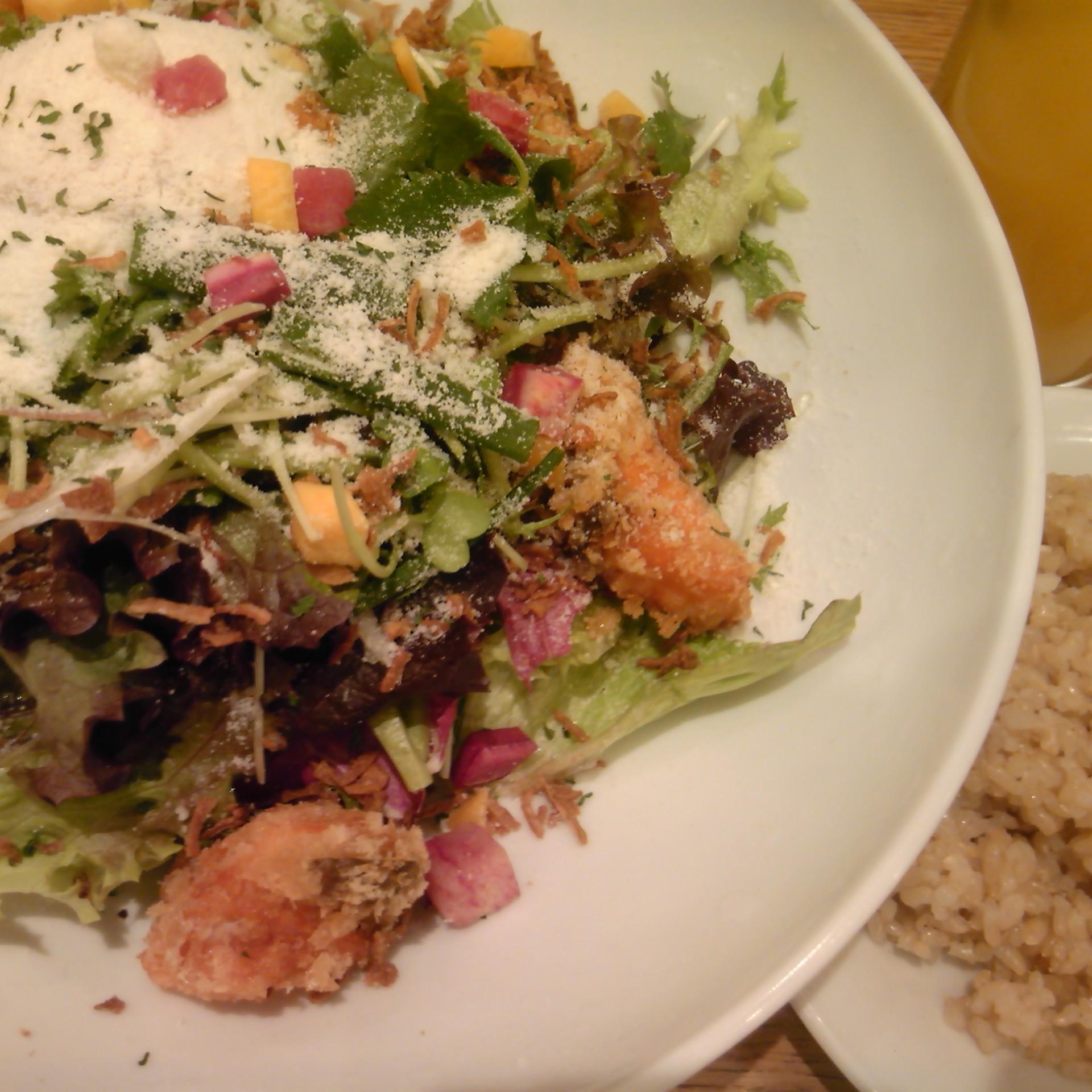 gogenderakuraku's profile picture. 毎日コツコツ語源で英単語を覚えていくツイートです。