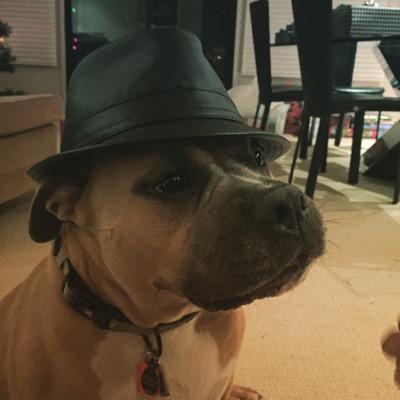 CameronWaldman's profile picture. 
