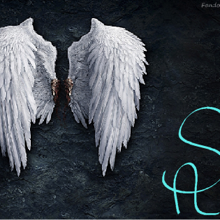 SummerAngels15's profile picture. 