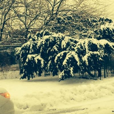 Im_R4ndy's profile picture. 