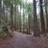 SheilaB_Smith's profile image
