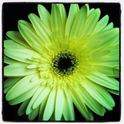 eperkk's profile picture. Love with all you have.. Nothing less!