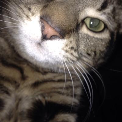 redwurd's profile picture. It's all Shits & Giggles. Hopefully the Giggles Win. Looking for buried treasure in the litter box of life! I like bubble wrap. Head up tits out.