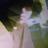 levi989's profile image