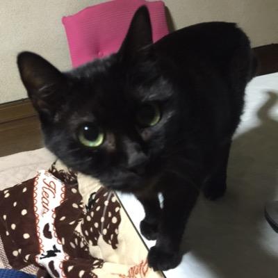 tar_dale's profile picture. ライブでギターのサポートをしています。他には作曲、アレンジ、劇伴なども時々やっています。仕事が落ち着いたので最近の休日はほぼ釣りに出掛ける日々w