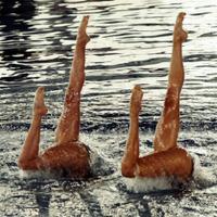 Jackie Buckingham (@jbucksynchro) 's Twitter Profile