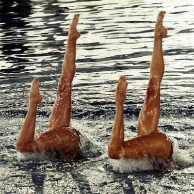 JBucksynchro's profile image