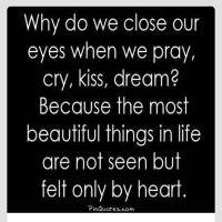 Tricia Lelond (@t_tjlc) 's Twitter Profile