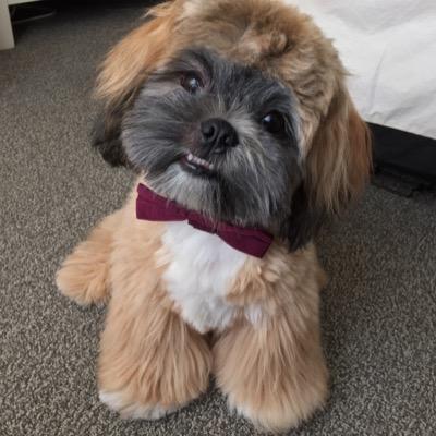 LardonCanada's profile picture. My name is Lardon, like the bacon. Not Canadian. Snapchat: lardoncanada