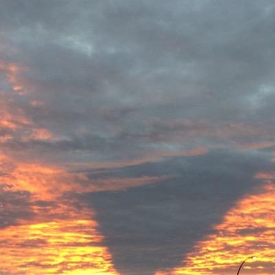 LoveVanCoast's profile picture. • love to: explore Lower Mainland communities • share places & activities • enjoy local food • explore the outdoors • feel energy of community celebrations •