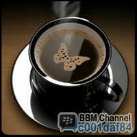 dntwt_3's profile picture. 