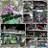 Bonser3_9A52's profile image