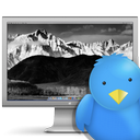 Tim Cotton - @TweetTimsiMac - Twitter