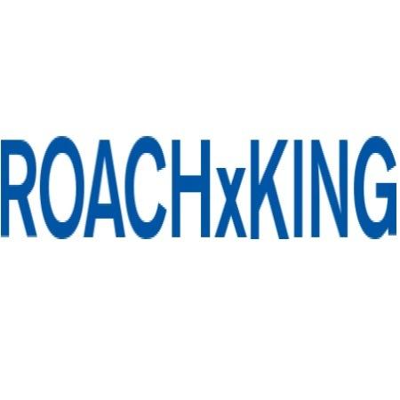 ROACHxKNG's profile picture. 